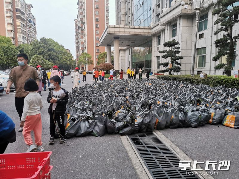 780份蔬菜包送到了湘林小區院內。長(cháng)沙晚報實(shí)習生 羅楊 攝